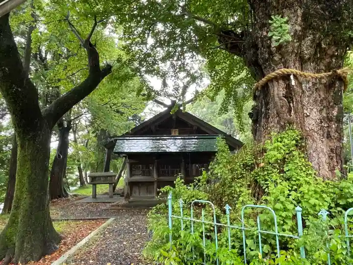 鞆江神社(明地)の{uncategorized: "未分類", other: "その他", undefined: "問題あり", building: "その他建物", grave: "お墓", sacred_gate: "鳥居", guardian: "狛犬", statue: "像", buddha: "仏像", history: "歴史", nature: "自然", garden: "庭園", animal: "動物", pagoda: "塔", temizu: "手水舎", mountain_gate: "山門・神門", sanctuary: "本殿・本堂", subordinate: "末社・摂社", art: "芸術", scenery: "景色", jizo: "地蔵", ema: "絵馬", goshuin: "御朱印", omikuji: "おみくじ", items: "授与品その他", amulet: "お守り", goshuincho: "御朱印帳", eats: "食事", festival: "お祭り", votive_dance: "神楽", shichigosan: "七五三参", wedding: "結婚式", experience: "体験その他", initially: "初詣", around: "周辺", anti_infection: "感染症対策"}