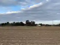 琴平神社(千葉県)