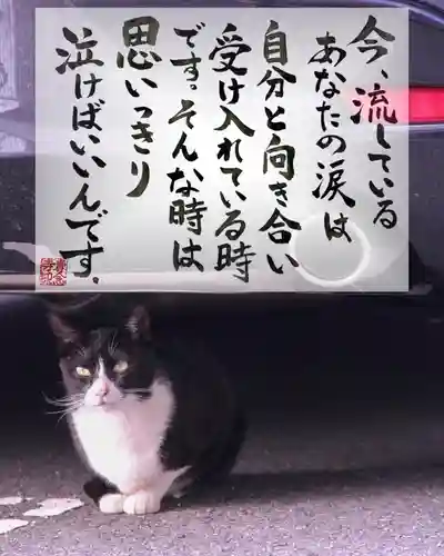 専念寺(大阪府)