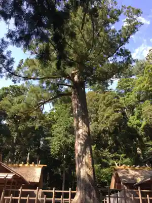 瀧原宮(皇大神宮別宮)(三重県)