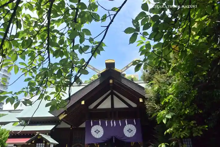 東京大神宮(東京都)