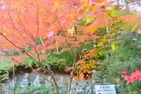 高尾山薬王院(東京都)