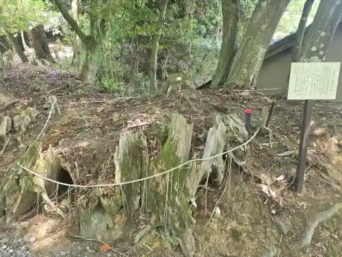正法寺(滋賀県)