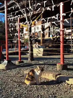 牟呂八幡宮(愛知県)
