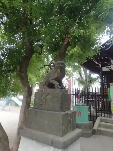 矢口氷川神社の狛犬
