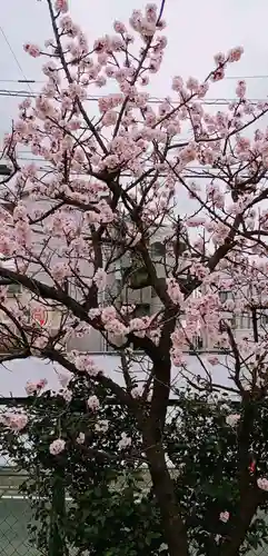 厳嶋神社の自然