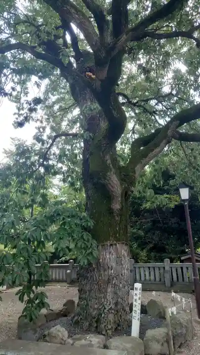 伊勝八幡宮(愛知県)