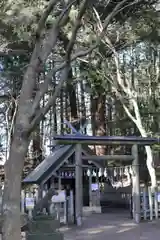 宝登山神社奥宮の鳥居