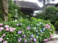 極楽寺(霊鷲山感應院極楽律寺)のその他建物