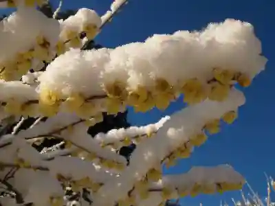 清水寺(栃木県)