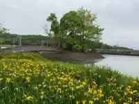 厳島神社の周辺