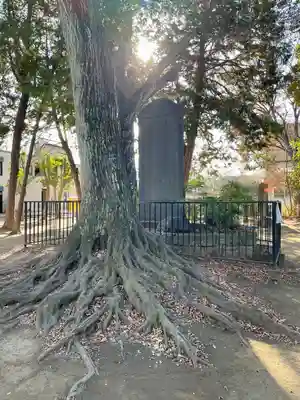 本太氷川神社(埼玉県)
