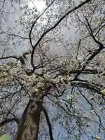 厚別神社(北海道)