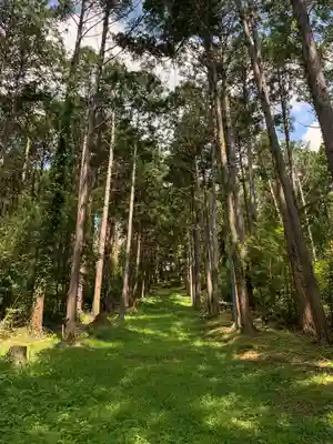 横山神社の周辺