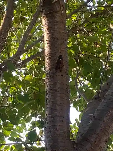 植田八幡神社(福島県)