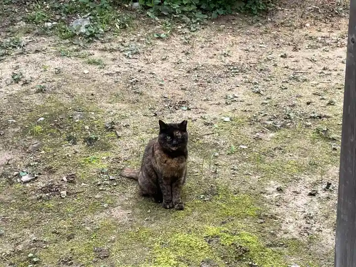 立帰天満宮(福岡県)