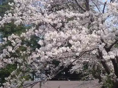 宇都母知神社(神奈川県)