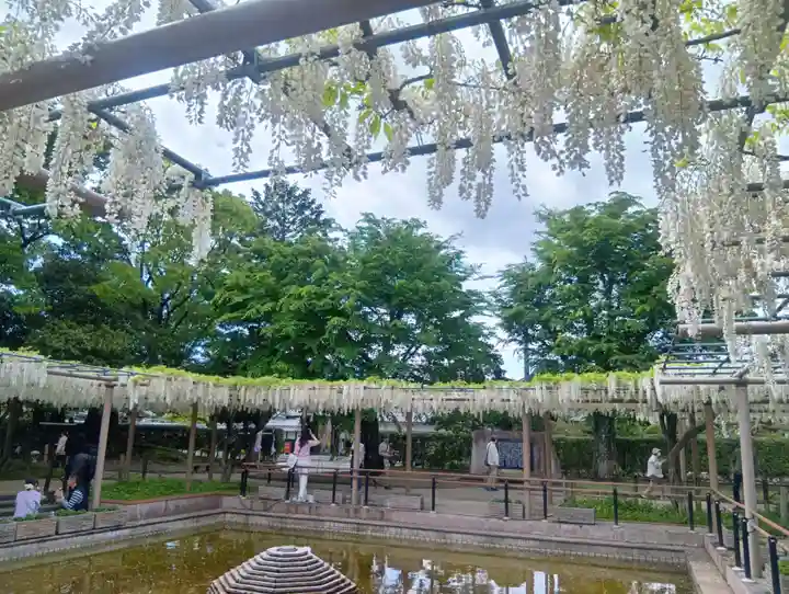 曼陀羅寺(愛知県)