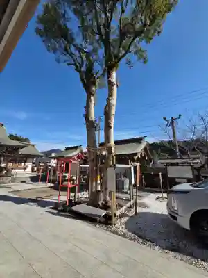 天之御中主神社(鹿児島県)