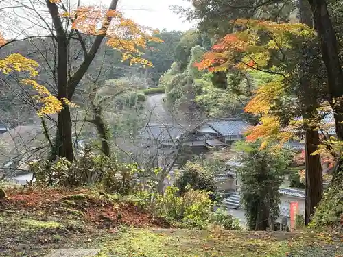 縁城寺(京都府)