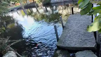 稗田野神社(薭田野神社)(京都府)