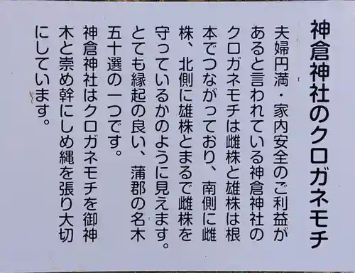 神倉神社のその他建物