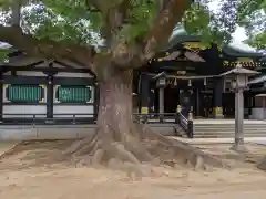 穴八幡宮の自然