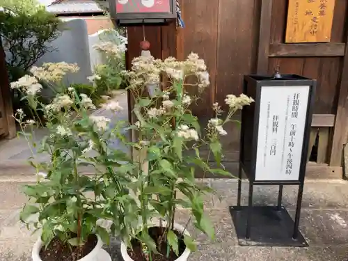 尊陽院(京都府)