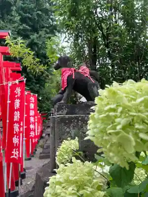 於菊稲荷神社(群馬県)