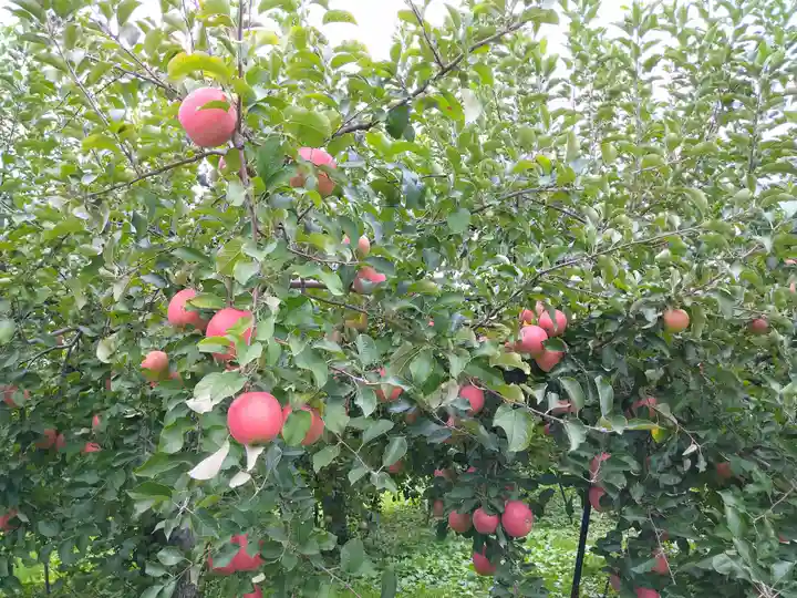 八幡宮(青森県)