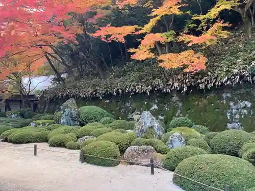 知恩院(京都府)