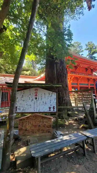 鹿島神宮の{uncategorized: "未分類", other: "その他", undefined: "問題あり", building: "その他建物", grave: "お墓", sacred_gate: "鳥居", guardian: "狛犬", statue: "像", buddha: "仏像", history: "歴史", nature: "自然", garden: "庭園", animal: "動物", pagoda: "塔", temizu: "手水舎", mountain_gate: "山門・神門", sanctuary: "本殿・本堂", subordinate: "末社・摂社", art: "芸術", scenery: "景色", jizo: "地蔵", ema: "絵馬", goshuin: "御朱印", omikuji: "おみくじ", items: "授与品その他", amulet: "お守り", goshuincho: "御朱印帳", eats: "食事", festival: "お祭り", votive_dance: "神楽", shichigosan: "七五三参", wedding: "結婚式", experience: "体験その他", initially: "初詣", around: "周辺", anti_infection: "感染症対策"}