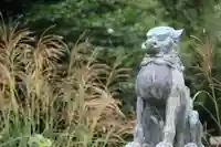 神炊館神社 ⁂奥州須賀川総鎮守⁂の狛犬