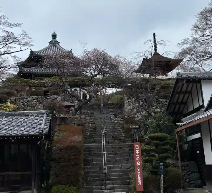 善峯寺の{uncategorized: "未分類", other: "その他", undefined: "問題あり", building: "その他建物", grave: "お墓", sacred_gate: "鳥居", guardian: "狛犬", statue: "像", buddha: "仏像", history: "歴史", nature: "自然", garden: "庭園", animal: "動物", pagoda: "塔", temizu: "手水舎", mountain_gate: "山門・神門", sanctuary: "本殿・本堂", subordinate: "末社・摂社", art: "芸術", scenery: "景色", jizo: "地蔵", ema: "絵馬", goshuin: "御朱印", omikuji: "おみくじ", items: "授与品その他", amulet: "お守り", goshuincho: "御朱印帳", eats: "食事", festival: "お祭り", votive_dance: "神楽", shichigosan: "七五三参", wedding: "結婚式", experience: "体験その他", initially: "初詣", around: "周辺", anti_infection: "感染症対策"}