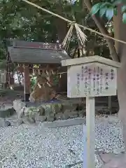 小池神社の建物その他