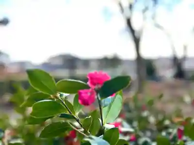 縣諏訪神社(長野県)