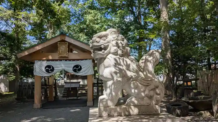 八幡愛宕神社(旭川神社)の狛犬