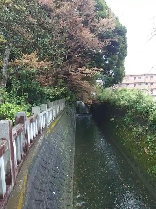 龍尾神社(静岡県)