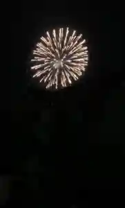 石内のお大師さん 金剛院(広島県)(2021年08月08日(日) 07時39分08秒投稿)