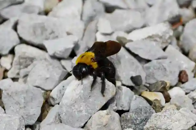 蓮久寺(千葉県)