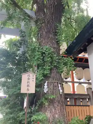 波除神社（波除稲荷神社）(東京都)