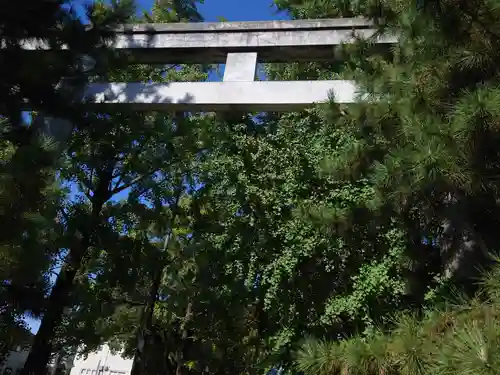 葛飾八幡宮の鳥居