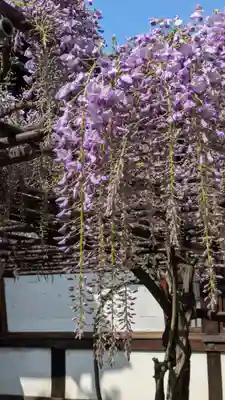 六孫王神社(京都府)