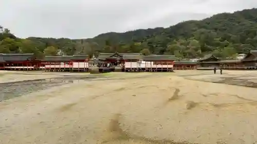 厳島神社の{uncategorized: "未分類", other: "その他", undefined: "問題あり", building: "その他建物", grave: "お墓", sacred_gate: "鳥居", guardian: "狛犬", statue: "像", buddha: "仏像", history: "歴史", nature: "自然", garden: "庭園", animal: "動物", pagoda: "塔", temizu: "手水舎", mountain_gate: "山門・神門", sanctuary: "本殿・本堂", subordinate: "末社・摂社", art: "芸術", scenery: "景色", jizo: "地蔵", ema: "絵馬", goshuin: "御朱印", omikuji: "おみくじ", items: "授与品その他", amulet: "お守り", goshuincho: "御朱印帳", eats: "食事", festival: "お祭り", votive_dance: "神楽", shichigosan: "七五三参", wedding: "結婚式", experience: "体験その他", initially: "初詣", around: "周辺", anti_infection: "感染症対策"}