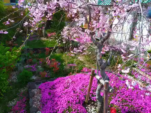 寿量山　速成寺(奈良県)