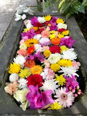 回向院(東京都)