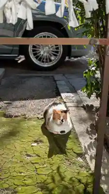 京都大神宮(京都府)