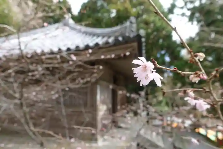 播州清水寺の自然