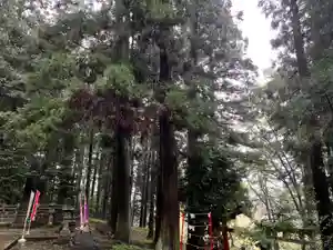 大宮温泉神社の自然(2022年09月24日(土) 13時08分13秒投稿)