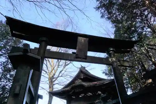 三峯神社の鳥居